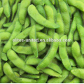 Chinese cultivation IQF frozen vegetable soybean